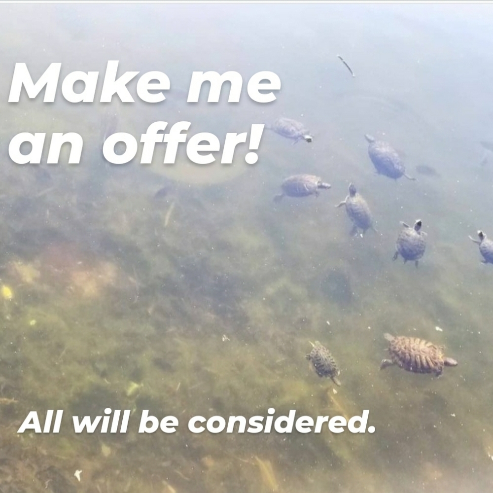 Offers welcome!